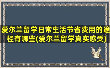 爱尔兰留学日常生活节省费用的途径有哪些(爱尔兰留学真实感受)