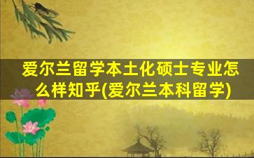 爱尔兰留学本土化硕士专业怎么样知乎(爱尔兰本科留学)