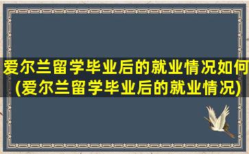 爱尔兰留学毕业后的就业情况如何(爱尔兰留学毕业后的就业情况)