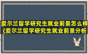 爱尔兰留学研究生就业前景怎么样(爱尔兰留学研究生就业前景分析)