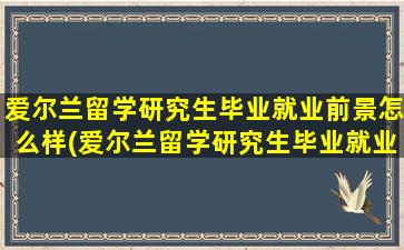 爱尔兰留学研究生毕业就业前景怎么样(爱尔兰留学研究生毕业就业前景分析)