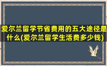 爱尔兰留学节省费用的五大途径是什么(爱尔兰留学生活费多少钱)