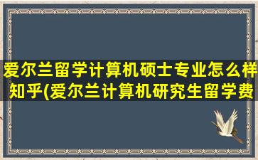 爱尔兰留学计算机硕士专业怎么样知乎(爱尔兰计算机研究生留学费用)