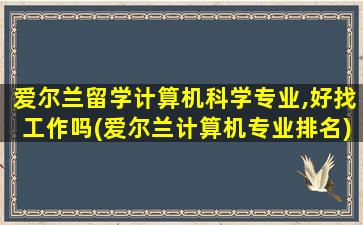 爱尔兰留学计算机科学专业,好找工作吗(爱尔兰计算机专业排名)