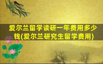 爱尔兰留学读研一年费用多少钱(爱尔兰研究生留学费用)