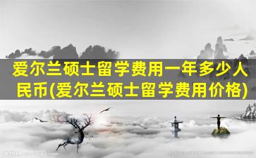 爱尔兰硕士留学费用一年多少人民币(爱尔兰硕士留学费用价格)