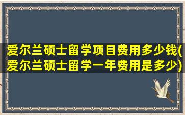 爱尔兰硕士留学项目费用多少钱(爱尔兰硕士留学一年费用是多少)