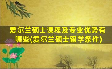 爱尔兰硕士课程及专业优势有哪些(爱尔兰硕士留学条件)