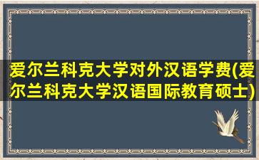 爱尔兰科克大学对外汉语学费(爱尔兰科克大学汉语国际教育硕士)