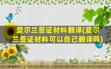 爱尔兰签证材料翻译(爱尔兰签证材料可以自己翻译吗)