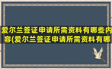 爱尔兰签证申请所需资料有哪些内容(爱尔兰签证申请所需资料有哪些呢)