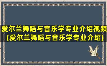 爱尔兰舞蹈与音乐学专业介绍视频(爱尔兰舞蹈与音乐学专业介绍)