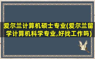 爱尔兰计算机硕士专业(爱尔兰留学计算机科学专业,好找工作吗)