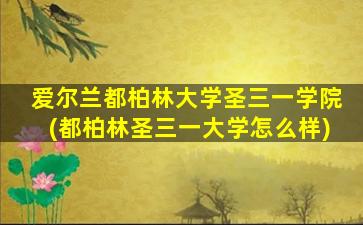 爱尔兰都柏林大学圣三一学院(都柏林圣三一大学怎么样)