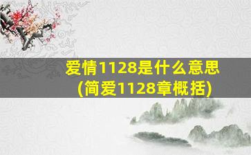 爱情1128是什么意思(简爱1128章概括)