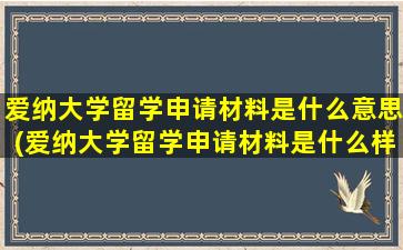 爱纳大学留学申请材料是什么意思(爱纳大学留学申请材料是什么样子的)