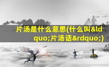 片汤是什么意思(什么叫“片汤话”)