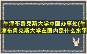 牛津布鲁克斯大学中国办事处(牛津布鲁克斯大学在国内是什么水平)