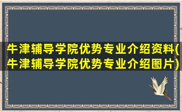 牛津辅导学院优势专业介绍资料(牛津辅导学院优势专业介绍图片)