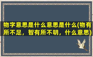 物字意思是什么意思是什么(物有所不足，智有所不明，什么意思)