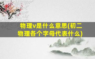 物理v是什么意思(初二物理各个字母代表什么)