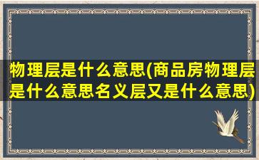 物理层是什么意思(商品房物理层是什么意思名义层又是什么意思)