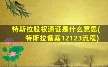 特斯拉股权通证是什么意思(特斯拉备案12123流程)