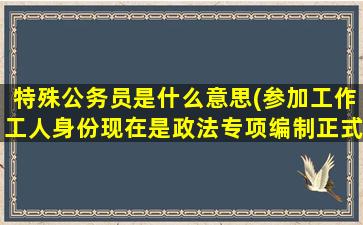 特殊公务员是什么意思(参加工作工人身份现在是政法专项编制正式的人民警察是公务员吗)