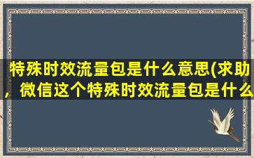 特殊时效流量包是什么意思(求助，微信这个特殊时效流量包是什么意思)