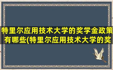 特里尔应用技术大学的奖学金政策有哪些(特里尔应用技术大学的奖学金政策怎么样)