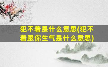 犯不着是什么意思(犯不着跟你生气是什么意思)