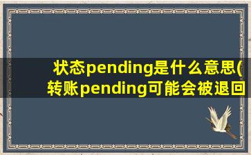 状态pending是什么意思(转账pending可能会被退回吗)