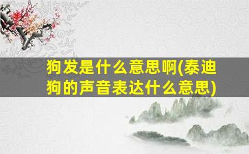 狗发是什么意思啊(泰迪狗的声音表达什么意思)