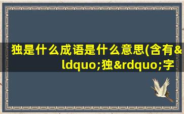 独是什么成语是什么意思(含有“独”字的成语有哪些)