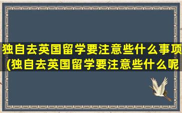 独自去英国留学要注意些什么事项(独自去英国留学要注意些什么呢)