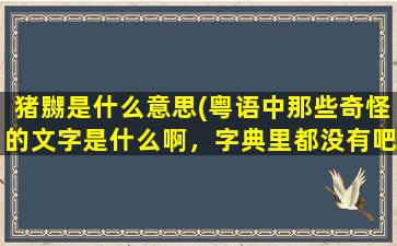 猪嬲是什么意思(粤语中那些奇怪的文字是什么啊，字典里都没有吧)