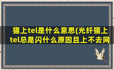 猫上tel是什么意思(光纤猫上tel总是闪什么原因且上不去网)