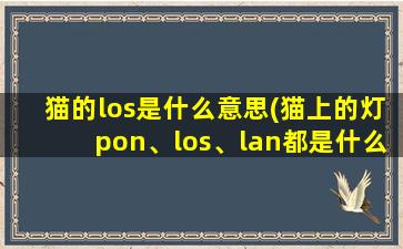 猫的los是什么意思(猫上的灯pon、los、lan都是什么意思)