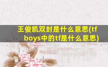 王俊凯双封是什么意思(tfboys中的tf是什么意思)