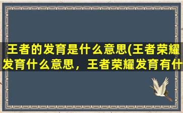 王者的发育是什么意思(王者荣耀发育什么意思，王者荣耀发育有什么技巧)