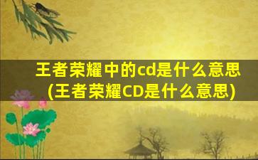 王者荣耀中的cd是什么意思(王者荣耀CD是什么意思)