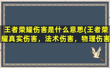 王者荣耀伤害是什么意思(王者荣耀真实伤害，法术伤害，物理伤害是什么)