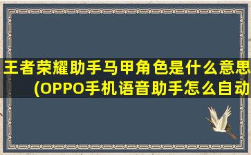 王者荣耀助手马甲角色是什么意思(OPPO手机语音助手怎么自动叫学生一星期如何练出马甲线)