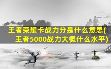 王者荣耀卡战力分是什么意思(王者5000战力大概什么水平)