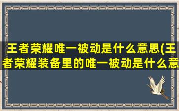 王者荣耀唯一被动是什么意思(王者荣耀装备里的唯一被动是什么意思)