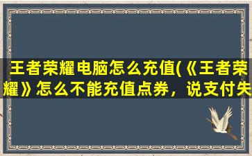 王者荣耀电脑怎么充值(《王者荣耀》怎么不能充值点券，说支付失败)