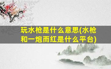 玩水枪是什么意思(水枪和一炮而红是什么平台)