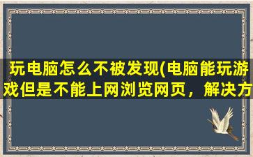 玩电脑怎么不被发现(电脑能玩游戏但是不能上网浏览网页，解决方案)