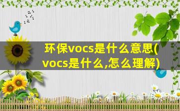 环保vocs是什么意思(vocs是什么,怎么理解)