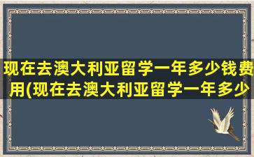 现在去澳大利亚留学一年多少钱费用(现在去澳大利亚留学一年多少钱人民币)